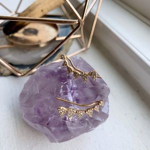 Gold Ear Crawler Earing